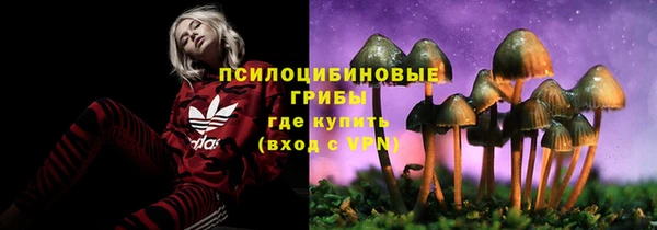 дурь Беломорск