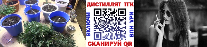Дистиллят ТГК вейп с тгк  Мариинский Посад 